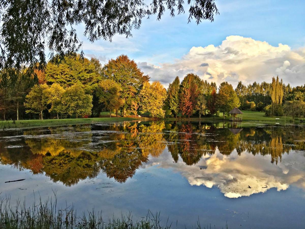 Country Comfort Underberg Esterno foto